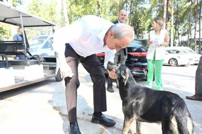 Baskan Kocagöz'den 'Köpek Yakildi' Iddialarina Cevap