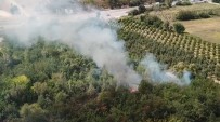 Bursa'da Otluk Alan Alev Alev Yandi Haberi