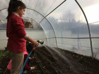 Çevreci Okullara 'Yesil Bayrak'