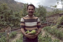Kemaliye'de Kapya Biberi Yetistirilmeye Baslandi