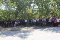 Köylüler 'Piknikçi Istemiyoruz' Eylemi Yapti Haberi