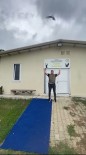 Sinop'ta Ebabil Kusu Yeniden Kanat Çirpti
