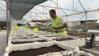 Turhal'in Yesil Alanlari Kendi Üretimleriyle Güzellesiyor