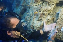 Akdeniz'in Derinliklerinde Girit-Minos Uygarligina Ait 3 Bin 600 Yillik Hançer Bulundu Haberi