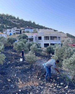 Antakya'da Zeytinlik Alanda Çikan Yangin Büyümeden Söndürüldü