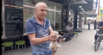 Aracin Altina Giren Kedi Kurtarildi Haberi