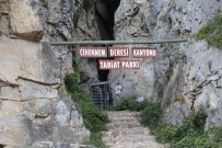 Cehenneme Turnike