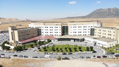Hastanin Gözünde Canli Kene Çikti