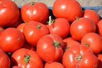 Meshur Ayas Domatesini Eken Çiftçi Sayisi Azaldi Haberi