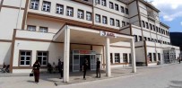 Ormanda Görev Yapan Personele Arilar Saldirdi Açiklamasi Hastanelik Oldular Haberi