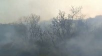 Osmaniye'de Orman Yangini