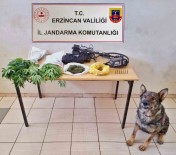 Erzincan'da Jandarma Mintikasinda Temmuz Ayinda Meydana Gelen Olaylarin Yüzde 98'I Aydinlatildi Haberi