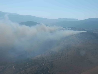 Hatay'da Orman Yangini