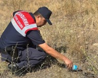Jandarma Ekipleri Minik Kaplumbagaya Yardim Etti