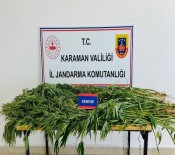 Karaman'da Kenevir Operasyonu Açiklamasi 3 Gözalti Haberi