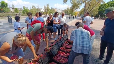 Aracilara Kizan Üretici 2 Bin Adet Ejder Meyvesini Bedava Dagitti