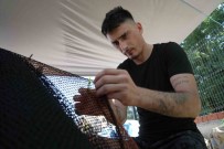 Balikçilar Yeni Sezonda Palamuttan Umutlu Açiklamasi 'Türkiye Bu Sene Palamuda Doyacak' Haberi