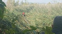 Kisaltmak Için Girdikleri Yol Kabuslari Oluyordu Haberi