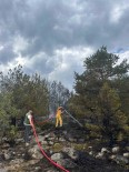Orman Yanginina Erken Müdahale Faciayi Önledi Haberi