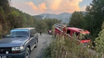 Ormanlik Alanda Çikan Yangin Panige Neden Oldu