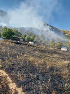 Tunceli'de Mezarlikta Baslayan Yangin Ormana Siçradi