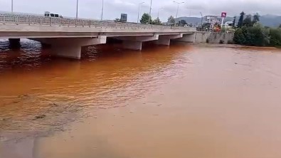 Türkülere Konu Olan Gelevera Deresi'ndeki Balik Ölümleri Korkutuyor