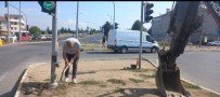 Uluslararasi Standartlarin Üstünde Araç Geçiyor