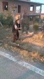 Ankara'nin Polatli Ilçesinde Vahset