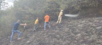 Bartin'da Orman Yangini Haberi