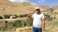 Hem Ögretmen Hem Çiftçi