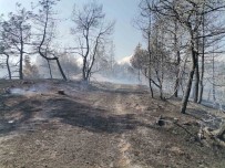 Kahramanmaras'taki Orman Yangini Büyük Ölçüde Kontrol Altina Alindi Haberi