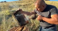 Karsli Arici, 120 Yillik Terrakota Ile Arilarin Sakinlesmesini Sagliyor Haberi
