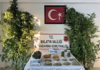 Malatya'da Uyusturucu Operasyonu