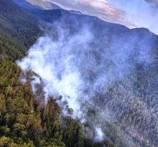 Simav'da Yildirim Kaynakli Çikan Orman Yangininda 2,5 Hektar Alan Zarar Gördü
