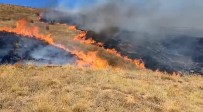 Çorum'da Aniz Yangini Haberi