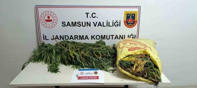 Jandarmaya 12 Kilo Esrarla Yakalanan Kadin Tutuklandi