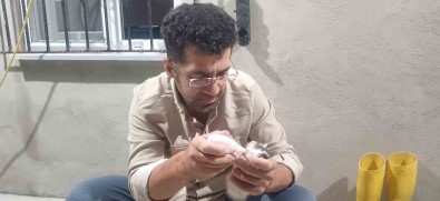 Yalniz Kalan Yavru Kedileri Biberonla Emziriliyor