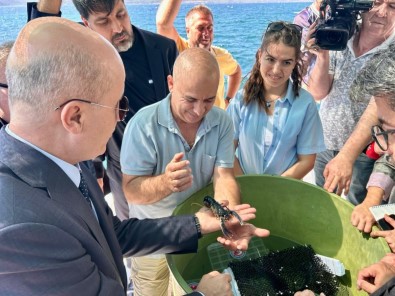 ÇOMÜ'nün Istakoz Yetistirme Projesine YÖK Baskani'ndan Destek