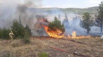 Makilik Alanda Çikan Yangin Yogun Müdahaleyle Kontrol Altina Alindi