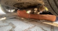 Otomobilin Motoruna Giren Yavru Kedi Kurtarildi Haberi