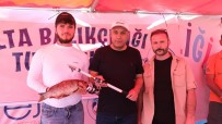 Sorgun'da En Büyük Baligi Yakalamak Için Kiyasiya Yaristilar Haberi