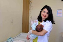 Van'da Hastanelerin Yükü Aile Hekimleriyle Azaliyor Haberi
