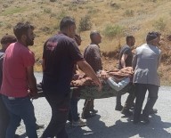 Van'da Trafik Kazasi Açiklamasi 4 Yarali Haberi