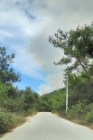 Yalova'da Orman Yangini Haberi