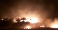 Anizdan Ormana Siçrayan Alevler Geceyi Aydinlatti Haberi