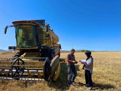 Biçerdöver Kontrolleri Araliksiz Devam Ediyor