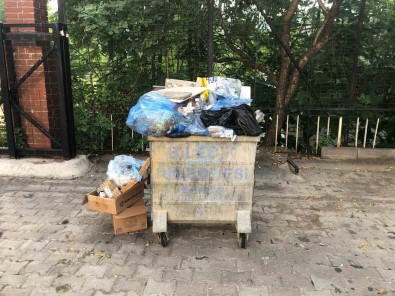 Bilecik'te Toplanmayan Çöpler Endise Kaynagi