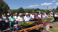 Dügün Sonrasi Hayatlarini Kaybeden Gelin Ve Damat Yan Yana Defnedildi Haberi
