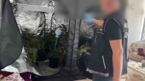 Evinde Kilolarca Uyusturucuyla Yakalandi, 'Pahali Oldugundan Kendime Yetistiriyorum' Dedi