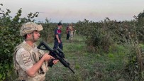 Hasat Zamani Hirsizlara Göz Açtirilmiyor, Komando Birlikleri Gece Gündüz Nöbet Tutuyor